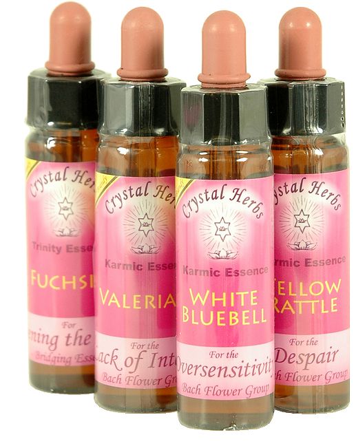 10ml Einzelflasche: Karma Essenzen