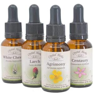 25ml Einzelflasche: Bachblüten Essenzen