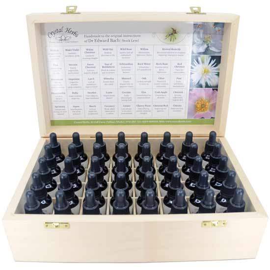 25ml Satz in Holzschachtel: Bachblüten Essenzen Set